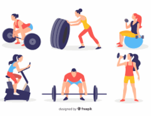 My Gym – Firmenangebot für Mitarbeiter:innen